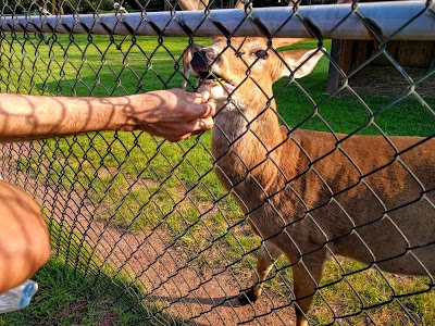 Johnson Park Zoo