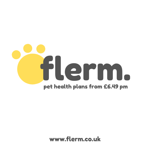 Flerm - Visual