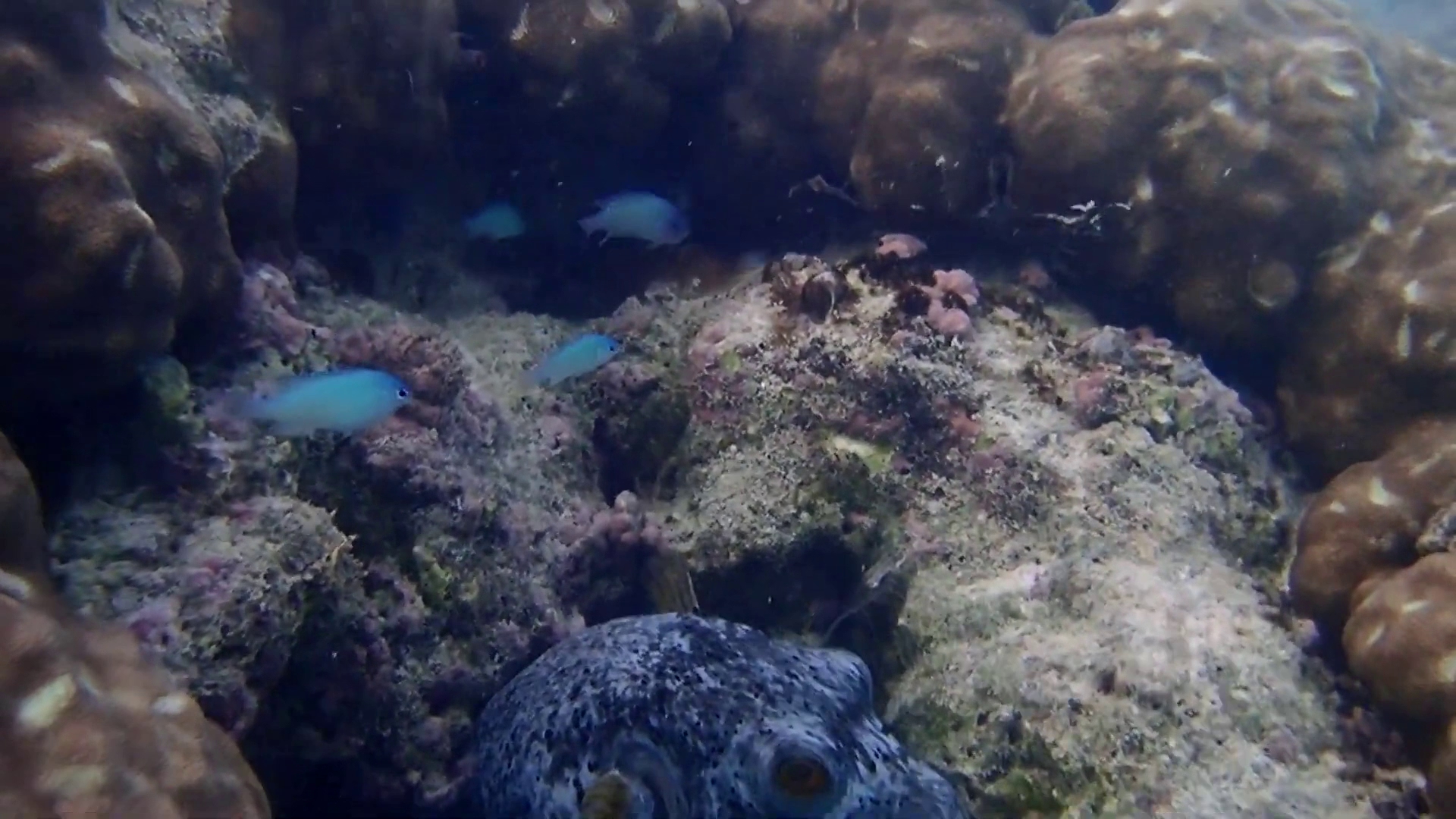 Meri Maldives - Bild 3