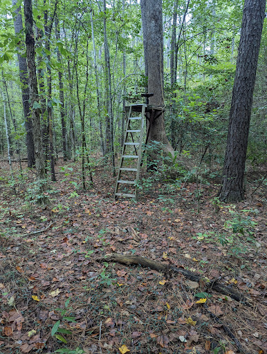 North River Game Land - Thumbnail