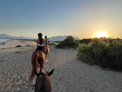 Edora Equitours Mare - Thumbnail