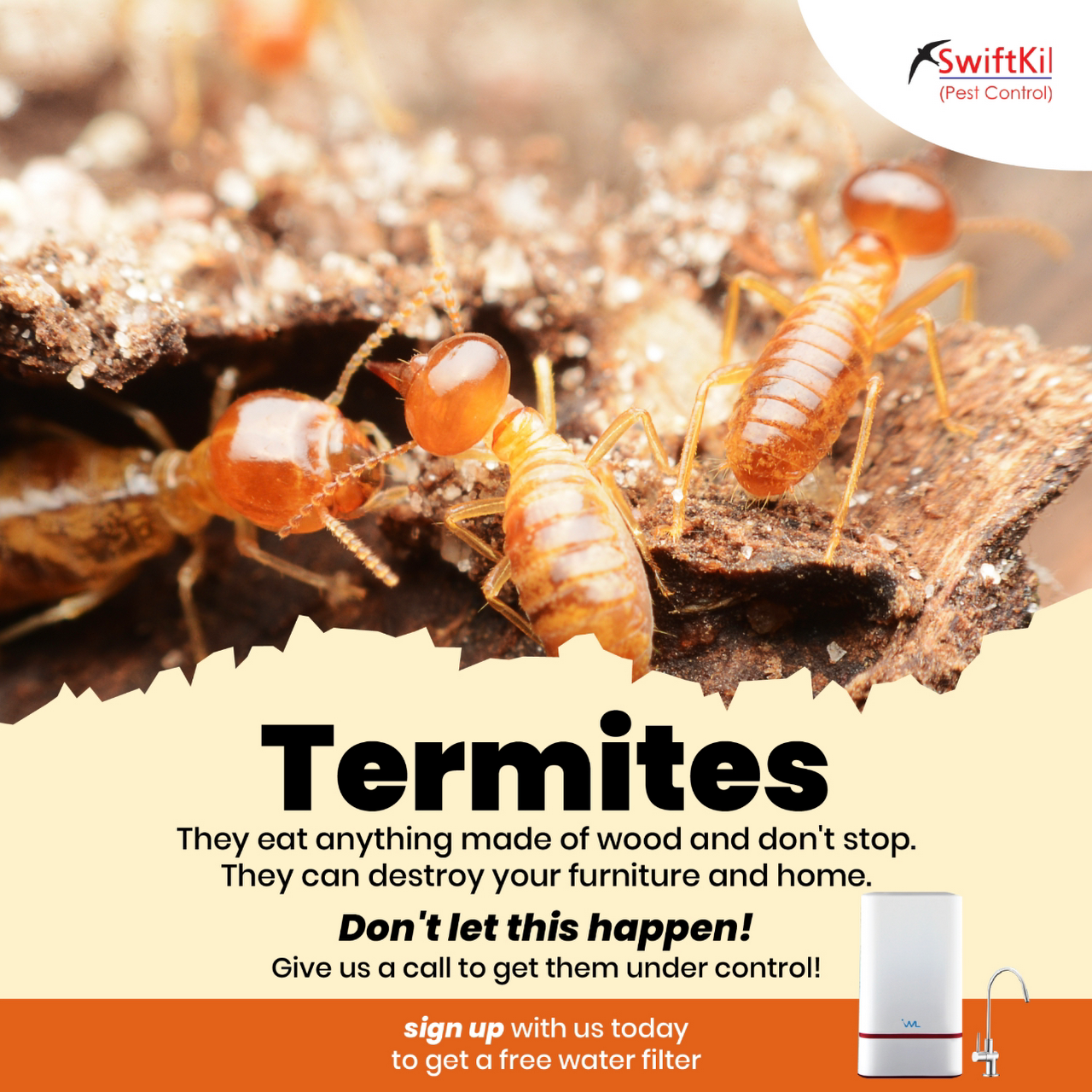 Swiftkil Pest Control Co Sdn Bhd Pest Control Service In Ipoh