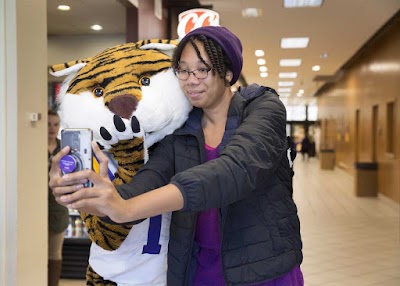 LSU Libraries