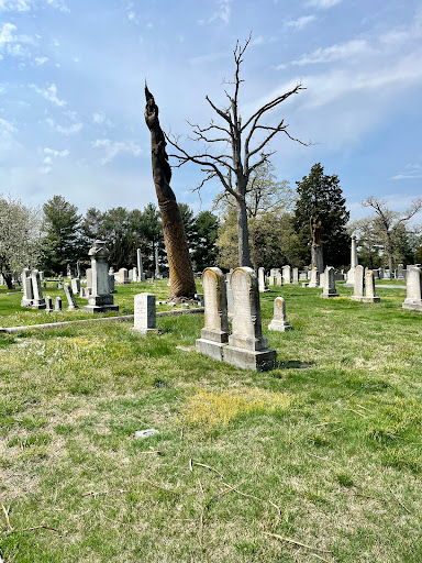 The Glenwood Cemetery - Thumbnail