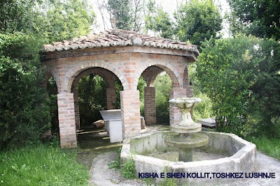 Kisha e Shën Kollit, Toshkëz