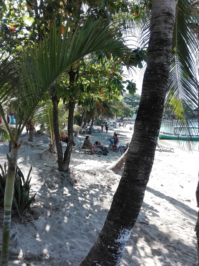 Coconut Tree Cabins