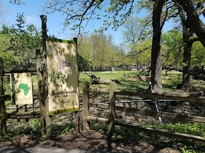 Hamill Family Play Zoo