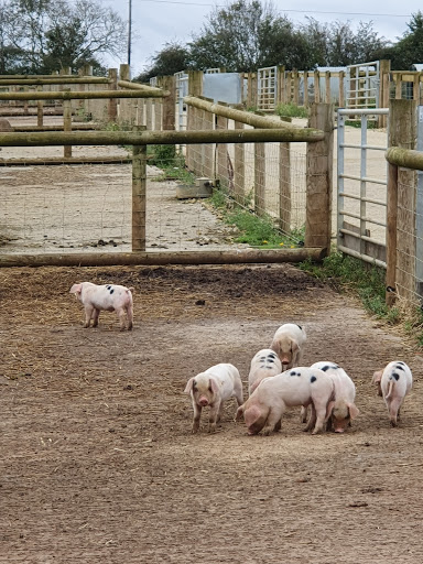 Todenham Manor Farm - Thumbnail