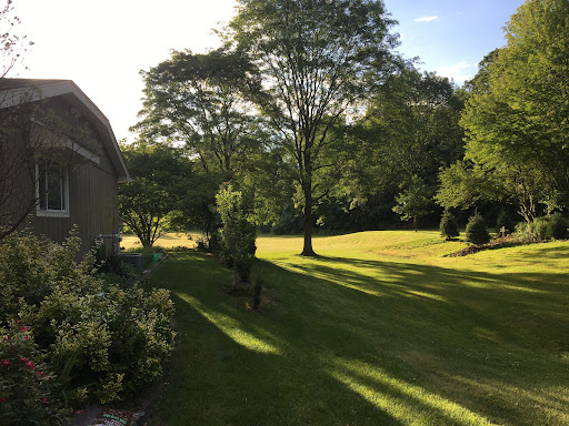 Yorkshire Manor Park - Thumbnail