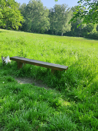 Hundewiese Schlosspark Herten - Thumbnail
