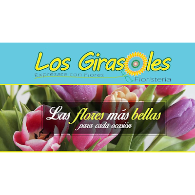 Photos of FLORISTERIA SUNFLOWERS