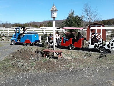 Photos of Brookhollow's Barnyard