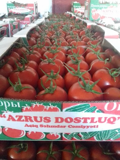 Photos of AzRus-Dostluq ASC