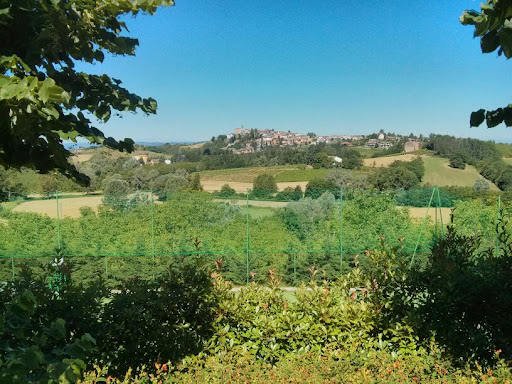 Villa Carmelita Hotel - Thumbnail