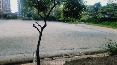 Photos of Canchas de San Simon