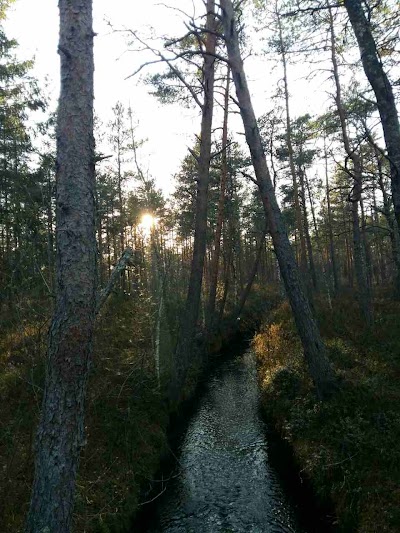 Photos of Vana-Veski Puhkekeskus