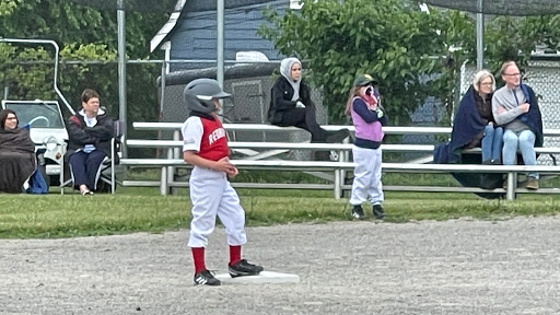 Trombley Fields - Visual