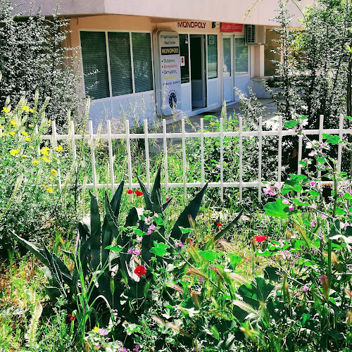 Comentarii opinii despre MONOPOLY Real Estate