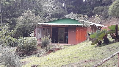 Photos of Miriam's Quetzals