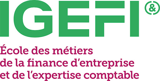 Igefi - School Of Finance Business And Expertise Accounting - Lille - Thumbnail