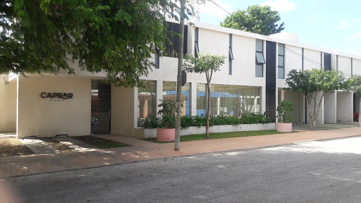 Capilar Studio - Visual
