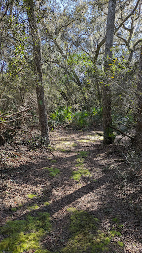 Bluffton Interpretative Trail - Visual