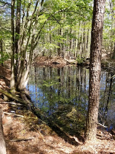 Holts Landing State Park