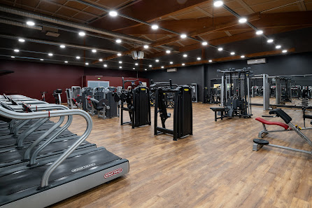 Imagen de la galería