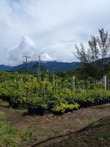 Vivero FLOREXO