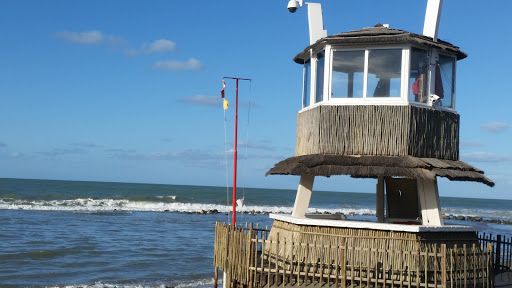Faber Beach - Visual