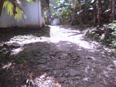 Photos of TBG (tlambegan)