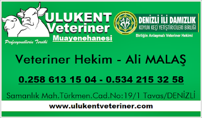 Ulukent Veteriner Kliniği