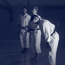 Photo n°24 de Agora Sports à Boulazac Isle Manoire (Club de kung-fu)