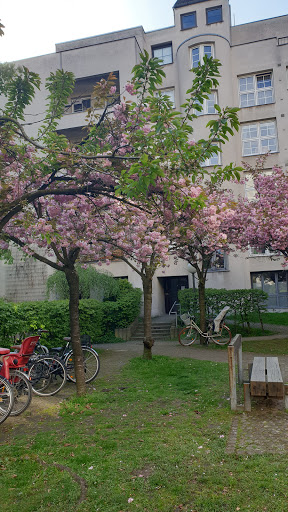 Volkshochschule Charlottenburg Wilmersdorf Lernzentrum - Thumbnail