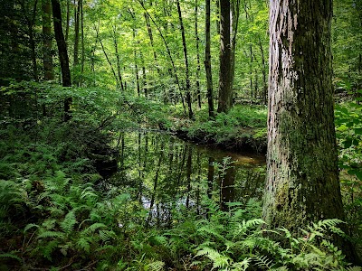 Babcock Preserve