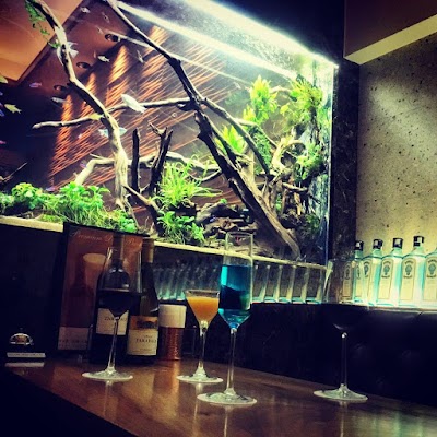 隠れ家イタリアン AQUARIUM CAFE Affinity 海老名