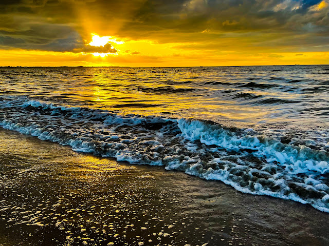 Aquarius On The Beach by null