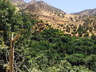 Photos of Ahmad Awa Waterfall