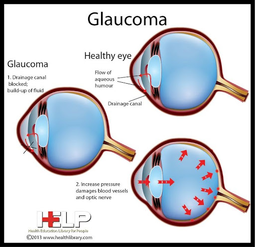 Gallery image 21