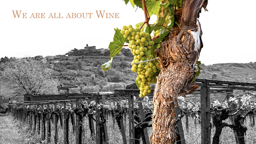 Cantina Tollo