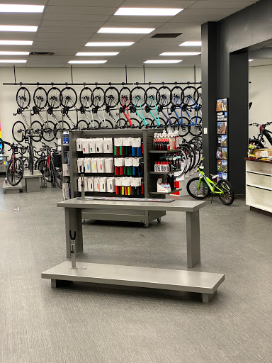 Trek Bicycle Maple Ridge - Thumbnail