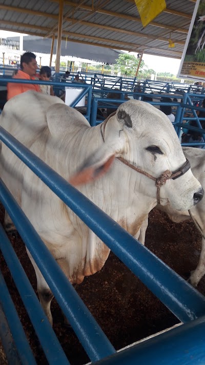 Photos of Recinto Ferial de Orellana
