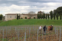 Vignobles Albert Schweitzer ( Château Saint Paul ) à Saint-Paul