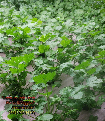 Farm To Fork Fresh Herbs & Veggies - Thumbnail
