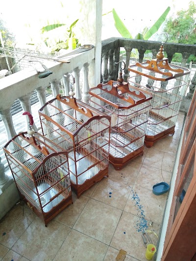 Photos of RW Bird Farm
