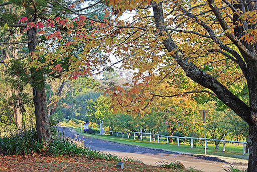 Honour Gardens - Thumbnail