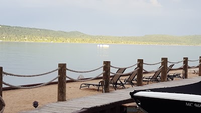 travel-agency