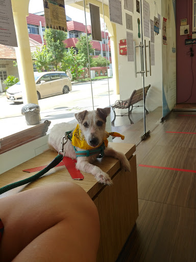 Vet Practice Pte Ltd - Thumbnail