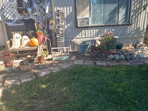 Blue Mountain Junk Removal & Demo - Thumbnail