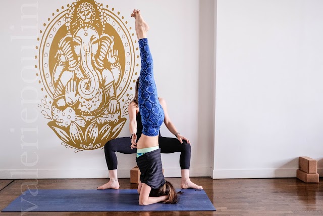 Yoga Montreal Shak